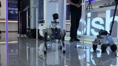 <b>绕人工智能模子算法、数据语料、智能软硬件、</b>